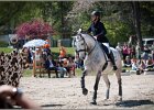 Pferd International 053